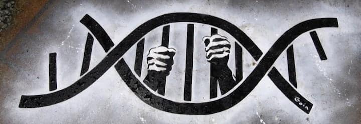 Has the BRCA Monopoly Been Reborn?
