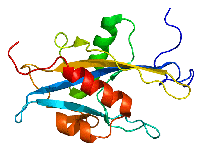 Patient Told Genetic Test Was Negative Turns Out to Be MAP Carrier