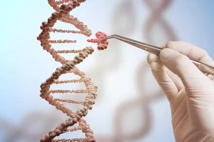 FDA Soon Rules If First CRISPR Therapy Receives Commercial Approval
