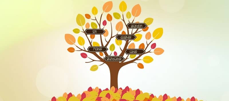 Gather Your Family Health History This Thanksgiving