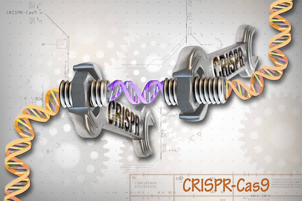 What Is CRISPR and Why Is Everyone Talking About It?