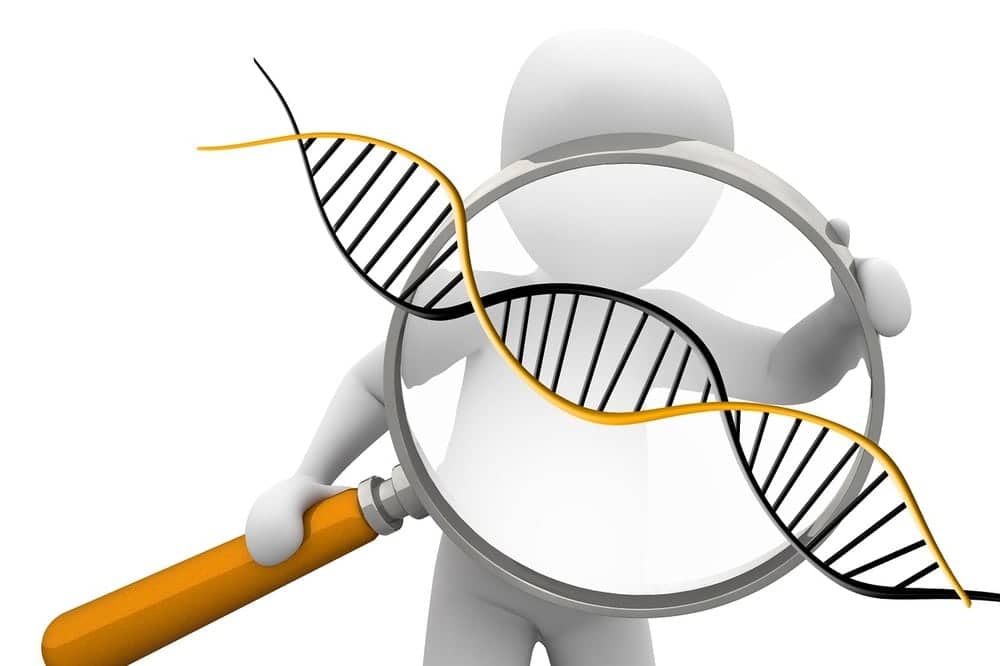 Recessive Mutations in MSH3 Found to Cause Colon Cancer