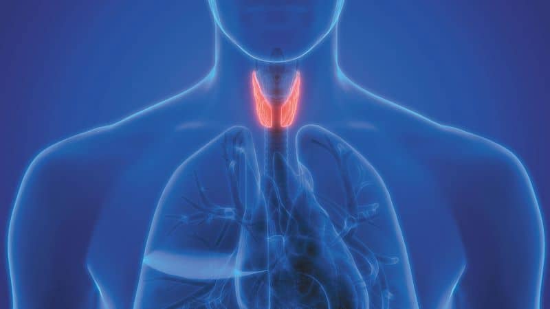 Hereditary Thyroid Cancer
