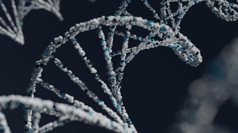 BRCA1 Variant Downgraded After Risk-Reducing Surgery
