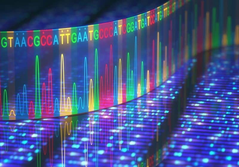 Appropriate Clinical Management of BRIP1 Variant of Unknown Significance