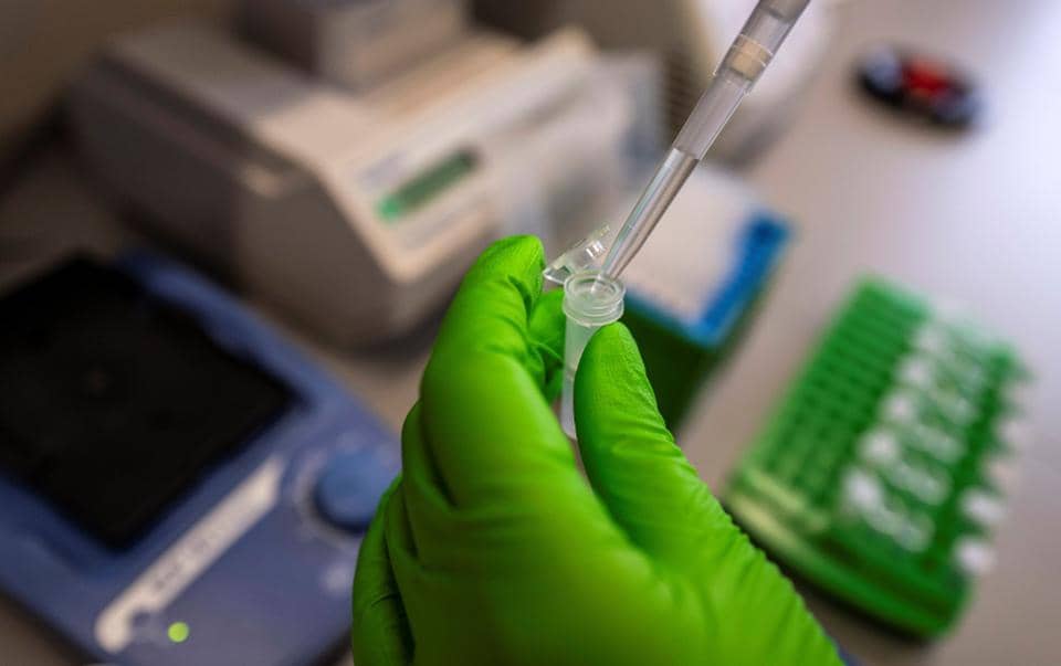 Genetic Testing Unleashed: What Could Possibly Go Wrong?