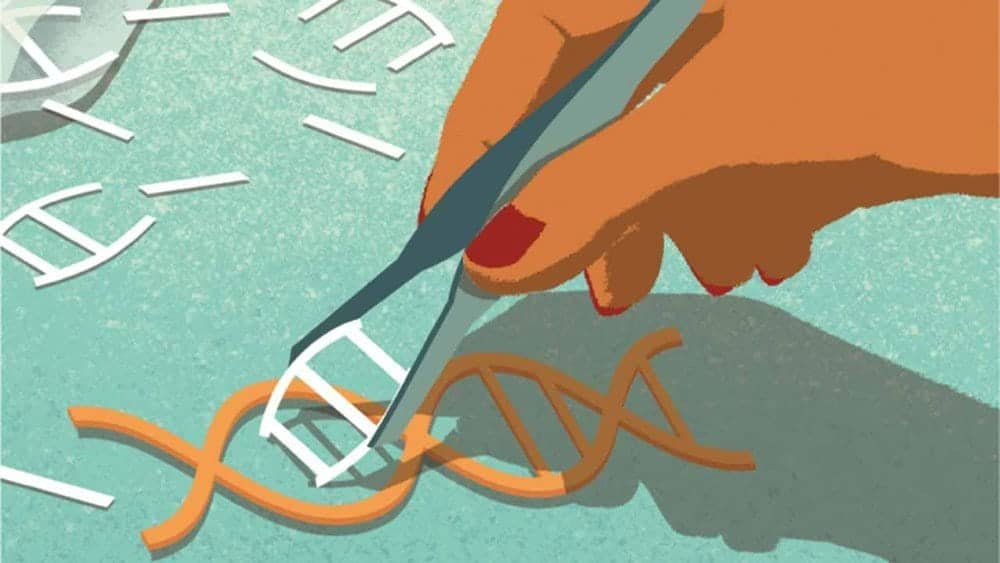The CRISPR Craze